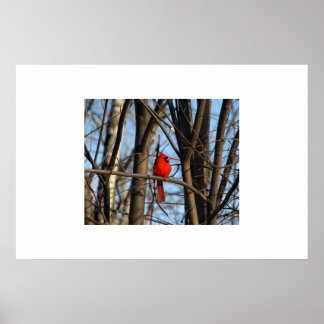 Une affiche cardinale