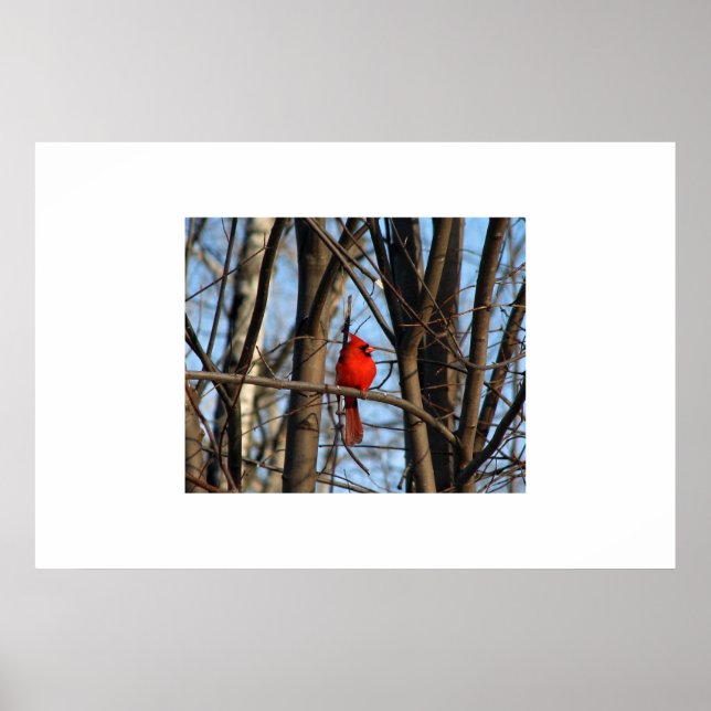 Une affiche cardinale (Devant)