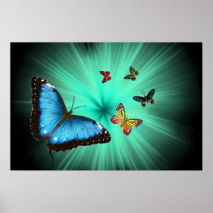 Une affiche de voyage de Butterflys