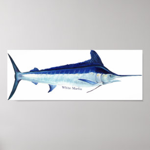 Une affiche en marlin blanc
