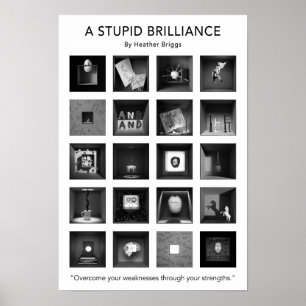 Une affiche stupide 13x19 de brillant