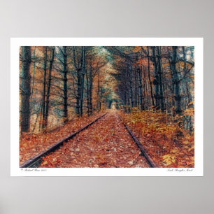 Une affiche sur une forêt