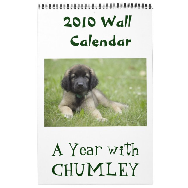 Une année avec le calendrier mural de Chumley 2010 (Protection)