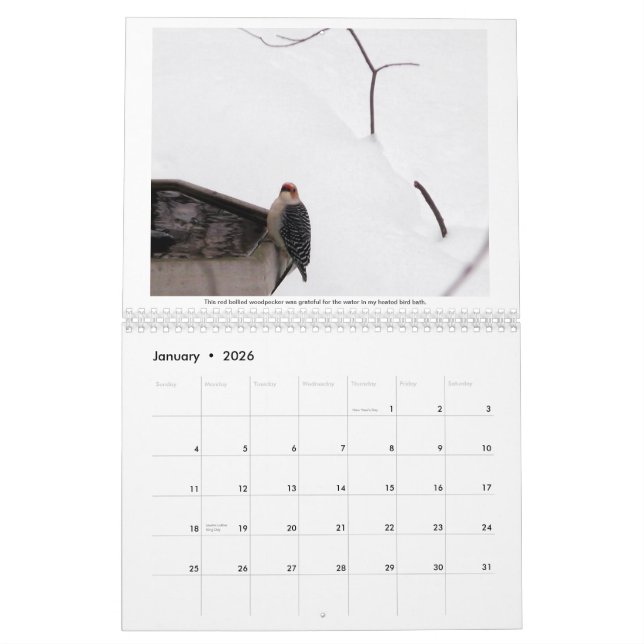 Une année dans mon calendrier de la région boisée (Jan 2026)