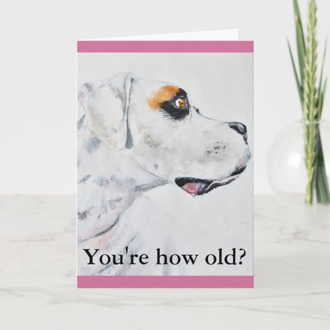 Une autre année plus vieille carte d'anniversaire, (Devant)