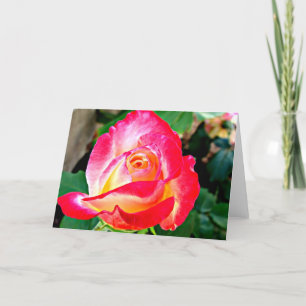 Une belle carte de voeux Rose