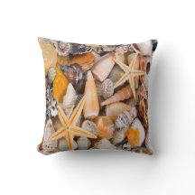 Une belle collection de coquillages sur un coussin