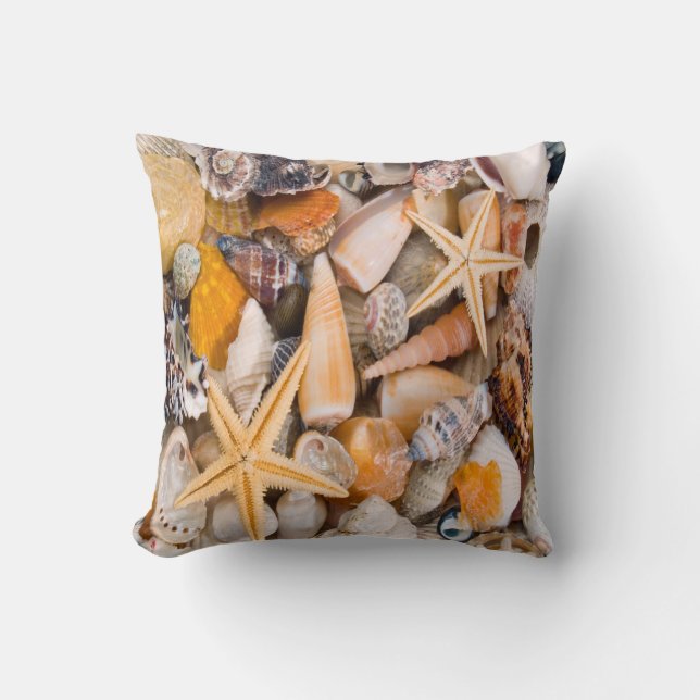 Une belle collection de coquillages sur un coussin (Recto)