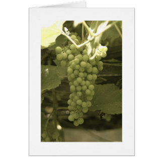 Une belle grappe de raisins