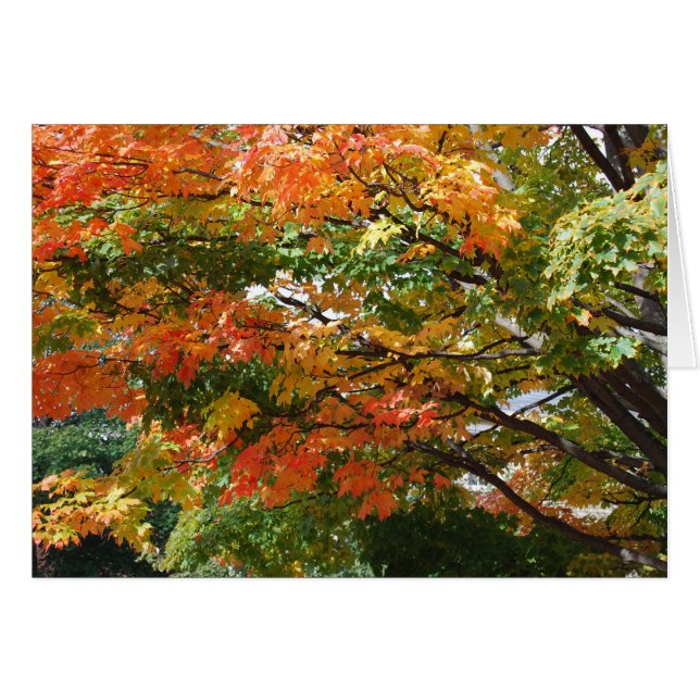 Une belle journée d'automne à Salem, MA (Devant Horizontal)