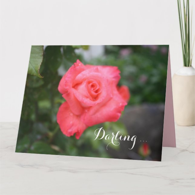 Une Belle Rose Rose, Grande Carte De Voeux (Devant)