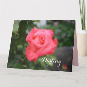 Une Belle Rose Rose, Grande Carte De Voeux