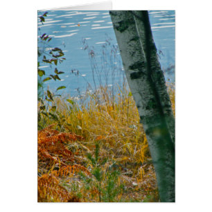 Une brosse avec l'automne