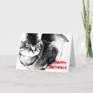 Une carte d'anniversaire - chat Moitié-Birman