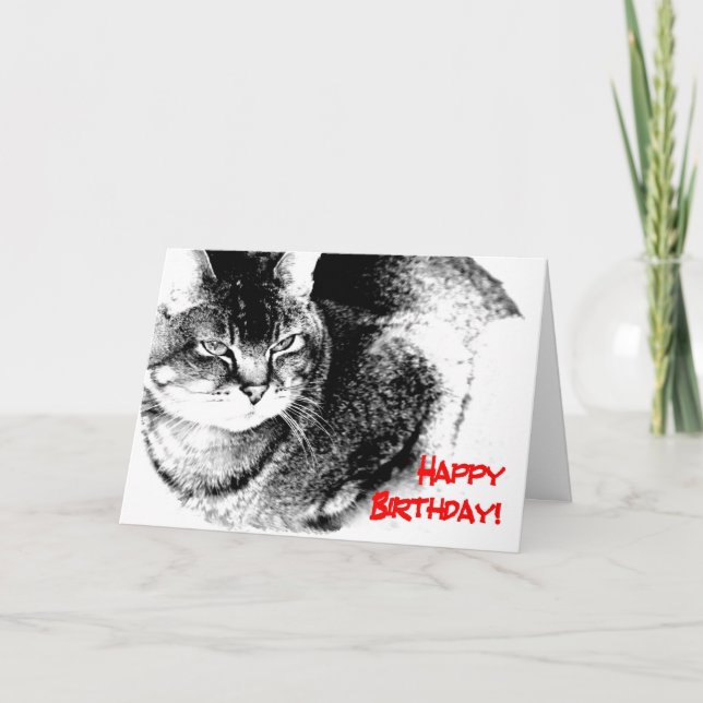 Une carte d'anniversaire - chat Moitié-Birman (Devant)
