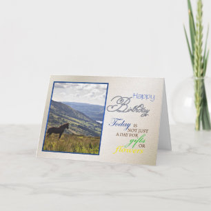 Une carte d'anniversaire de cheval.