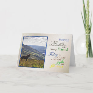 Une carte d'anniversaire de cheval pour Friend.