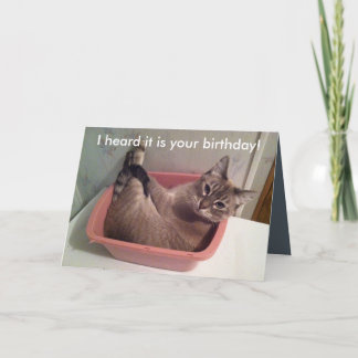 Une carte d'anniversaire drôle de chat 5X7