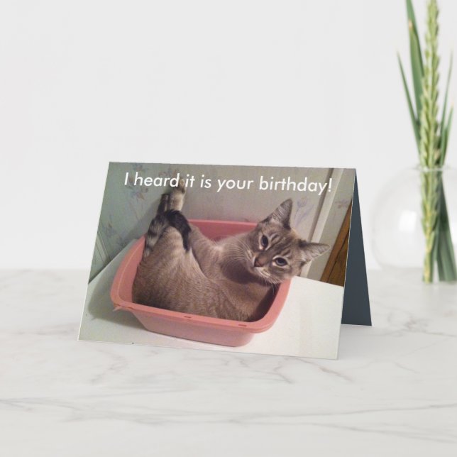 Une carte d'anniversaire drôle de chat 5X7 (Devant)