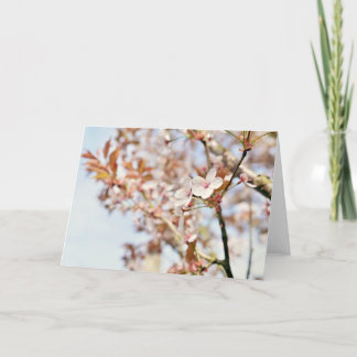 Une carte de voeux vierge de 7 x 5''