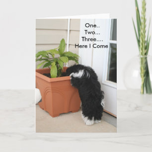 Une carte deux trois