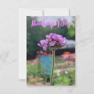 Une carte "Pensez à vous" avec une pointe de Z