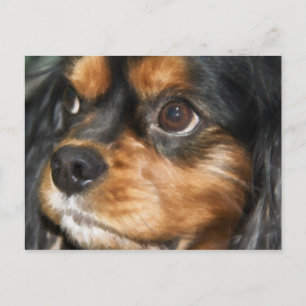 Une carte postale de chien loyal Cavalier King Cha