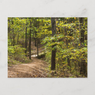 Une carte postale de l'allée de Runge