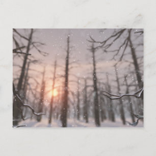 Une carte postale de rêve d'une nuit d'hiver