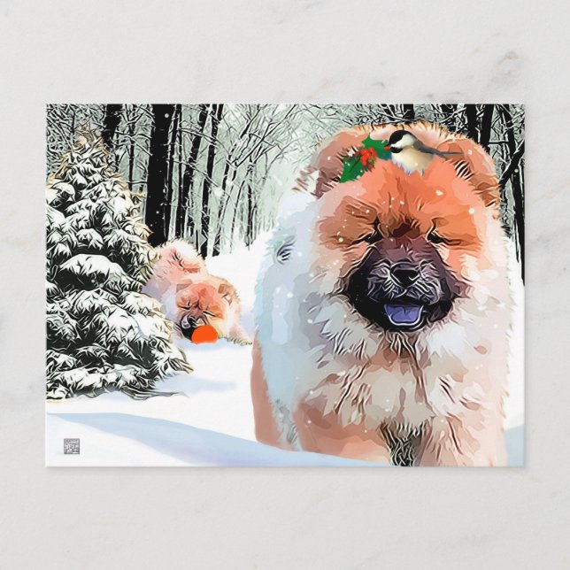 Une carte postale de vacances de JOUR DE NEIGE Cho (Devant)