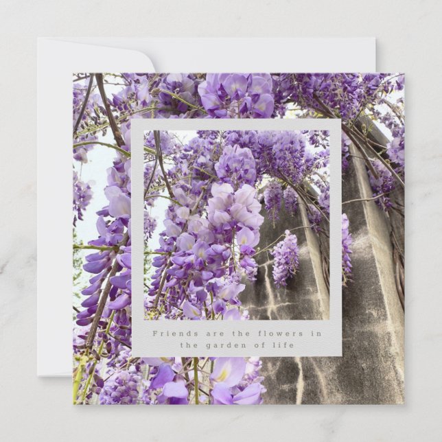 Une carte pour l'amitié (Devant)