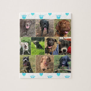 Une Collection De Puzzle De Chiens