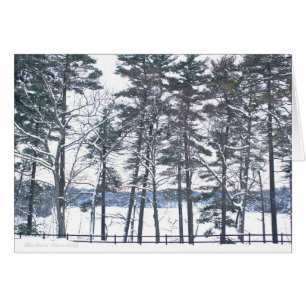 Une compensation à chaque déception