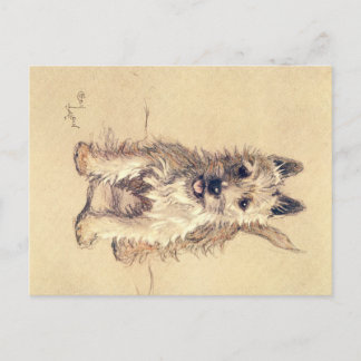 Une douzaine de chiens ou ainsi Cecil Aldin carte 
