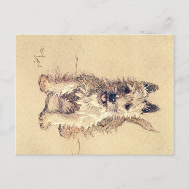 Une douzaine de chiens ou ainsi Cecil Aldin carte  (Devant)