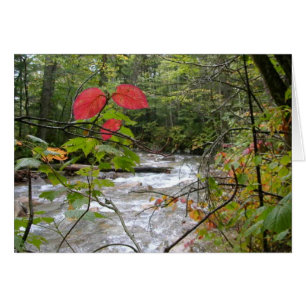 "Une éclaboussure du rouge "