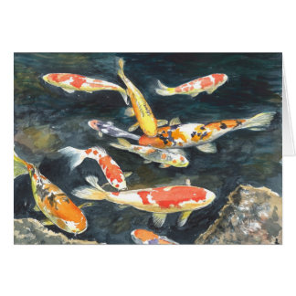 Une école des poissons de Koi dans un étang