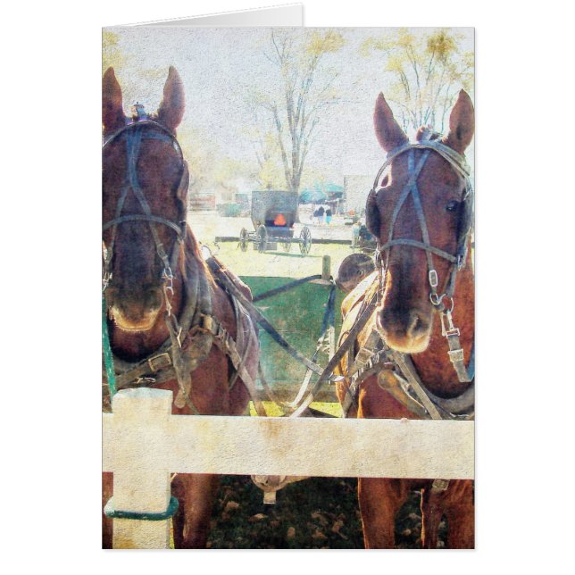 Une équipe à deux chevaux (Devant)