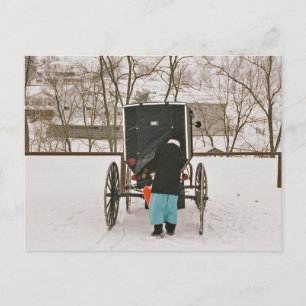 Une Femme Amish Chargement Buggy- Carte Postale