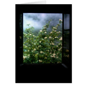 UNE FEMME DANS L'AMOUR