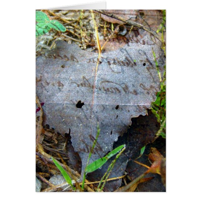 Une feuille (Devant)