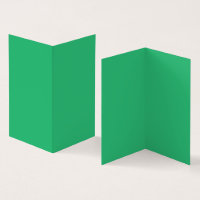 Une feuille verte vif avec des veines proéminentes