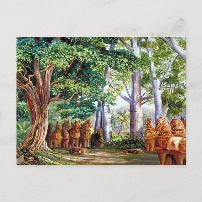 Une Grande Carte Postale Tamarind Tree (Devant)