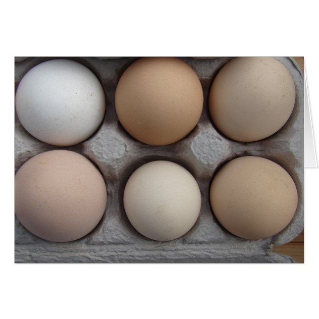 Une Grande Variété (Devant horizontal)