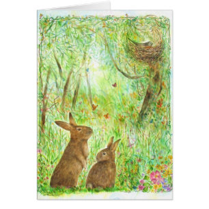 Une histoire pour endormir