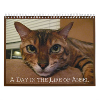 Une journée dans la vie d'Ansel Calendrier - 21 mo