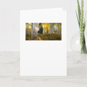 Une lumière dans la carte de voeux de la forêt