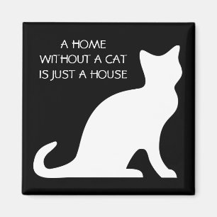 Une maison sans chat n'est qu'un aimant à maison