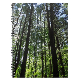 Une marche dans le Woods Journal