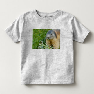 une marmotte sociable sur le sweat - shirt à